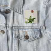 Veltheimia Capensis, von "Les Liliacees", c.1805 Button (Beispiel)