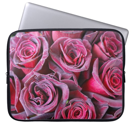 Velvet Beauty Laptopschutzhülle (Vorderseite)