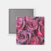 Velvet Beauty Magnet (Vorderseite/Rückseite)