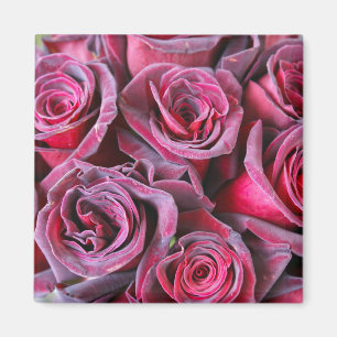 Velvet Beauty Magnet