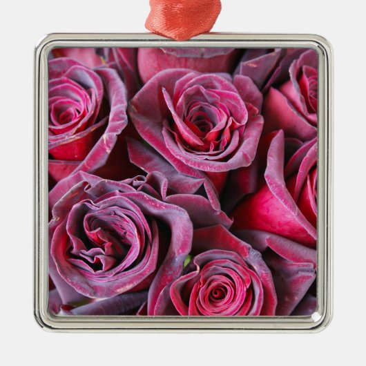 Velvet Beauty Silbernes Ornament (Vorne)