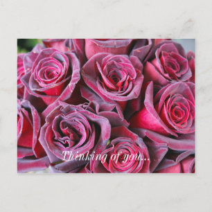 Velvet Beauty Thinking Of You Postkarte