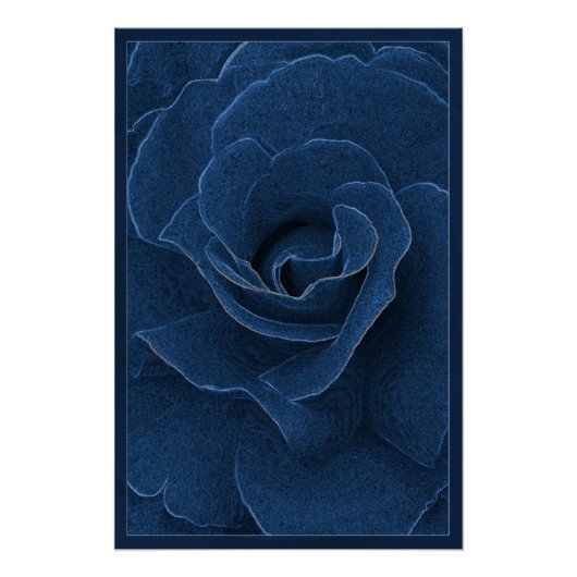 Velvet-blaue Rose Poster (Vorderseite)