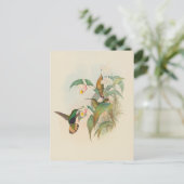 Velvet-Brust mit Buffet | John Gould Postkarte (Stehend Vorderseite)