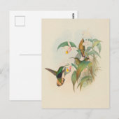 Velvet-Brust mit Buffet | John Gould Postkarte (Vorne/Hinten)