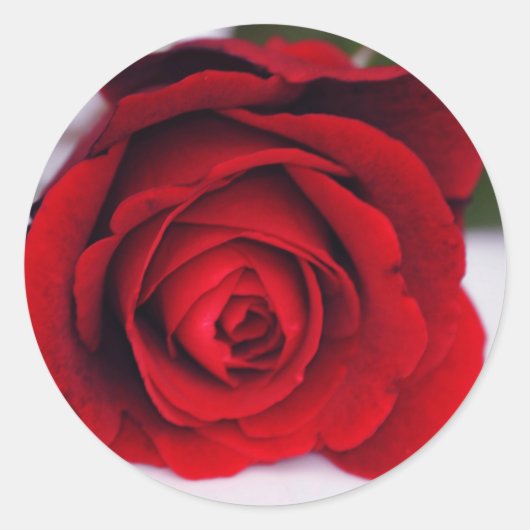 Velvet Fire Runder Aufkleber (Vorderseite)