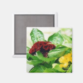 Velvet Floral Magnet (Vorderseite/Rückseite)