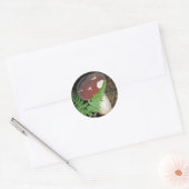 Velvet Mushroom Stickers (Umschlag)