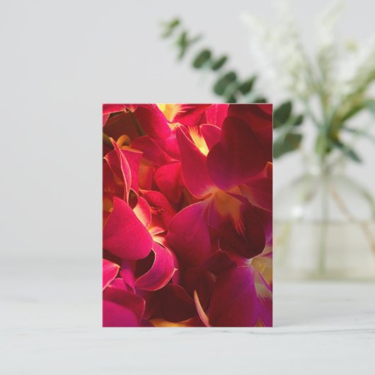 Velvet Postkarte (Stehend Vorderseite)