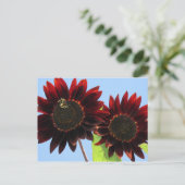 Velvet Queen Sunflowers Postkarte (Stehend Vorderseite)
