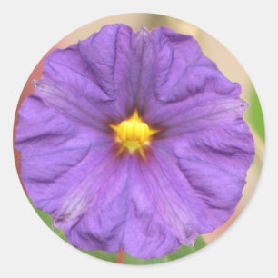 Velvet Robe Blume Runder Aufkleber