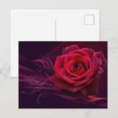 Velvet Rose Postkarte (Vorne/Hinten)