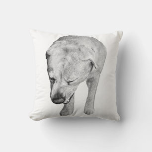 Velvet-Tone Labrador, sanfter Blick Kissen