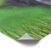 Velvet Whitetail Deer Buck Poster (Ecke)