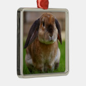 Velveteen Lop Bunny Rabbit Ornament Aus Metall (Rechts)