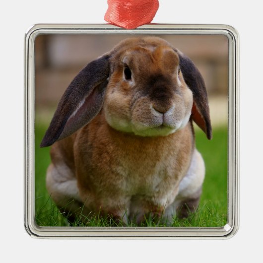 Velveteen Lop Bunny Rabbit Ornament Aus Metall (Vorne)