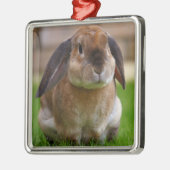 Velveteen Lop Bunny Rabbit Ornament Aus Metall (Links)