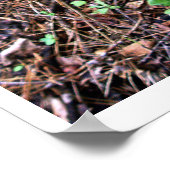 Velvety Green Moss Poster (Ecke)