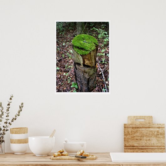 Velvety Green Moss Poster (Küche)