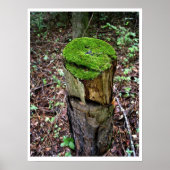 Velvety Green Moss Poster (Vorne)