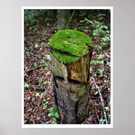 Velvety Green Moss Poster