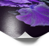 Velvety Lila Bearded Iris Blume Art 8x10 Fotodruck (Ecke)