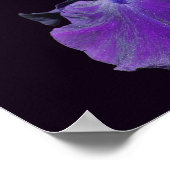 Velvour Lila Bartded Iris Blume Art Poster (Ecke)