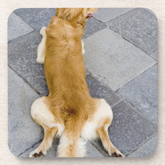 Venedig, Italien Getränkeuntersetzer (Vorderseite)