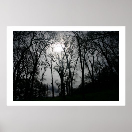 Venen der Natur Poster (Vorne)