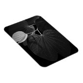 Venen eines Leaf Magnet (Rechte Seite)