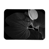 Venen eines Leaf Magnet (Horizontal)