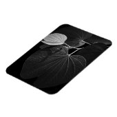 Venen eines Leaf Magnet (Linke Seite)