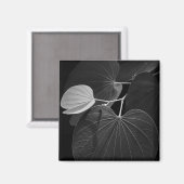 Venen eines Leaf Magnet (Vorderseite/Rückseite)