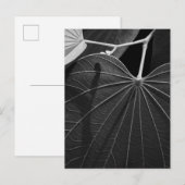 Venen eines Leaf Postkarte (Vorne/Hinten)