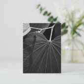 Venen eines Leaf Postkarte (Stehend Vorderseite)