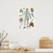 Venen Lunge Anatomie Poster 18 x 24 (Küche)