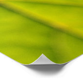 Venen mit grünem Leaf Poster (Ecke)