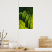 Venen mit grünem Leaf Poster (Küche)