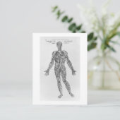 Venen- und Arteriesystem (b/w-Druck) Postkarte (Stehend Vorderseite)