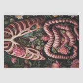 Venen und Venen Seidenpapier (Vorderseite)