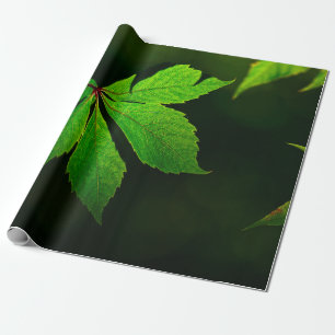 Venenmuster-Pflanze Geschenkpapier
