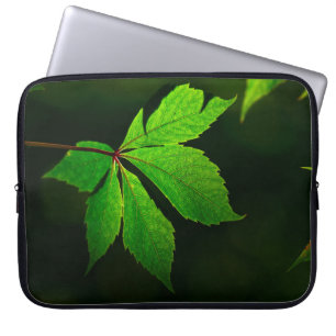 Venenmuster-Pflanze Laptopschutzhülle