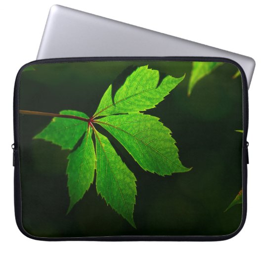 Venenmuster-Pflanze Laptopschutzhülle (Vorderseite)