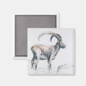 Venerando Stambecco Magnet (Vorderseite/Rückseite)