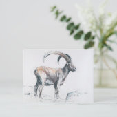 Venerando Stambecco Postkarte (Stehend Vorderseite)