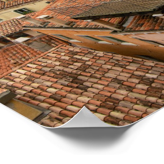 Venetian Rooftops and Terraces Poster (Ecke)