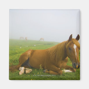 Venetien Italien 2 Magnet