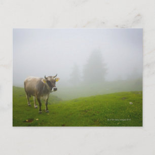 veneto italy postkarte