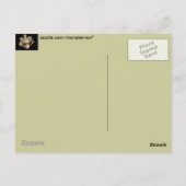 Venezianische Masken Postkarte (Rückseite)