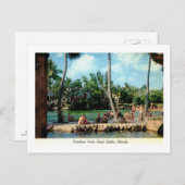 Venezianischer Pool, Korallengabel, Florida Vintag Postkarte (Vorne/Hinten)